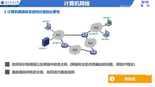 計(jì)算機(jī)網(wǎng)絡(luò)體系結(jié)構(gòu)及互聯(lián)網(wǎng)信息服務(wù)概述